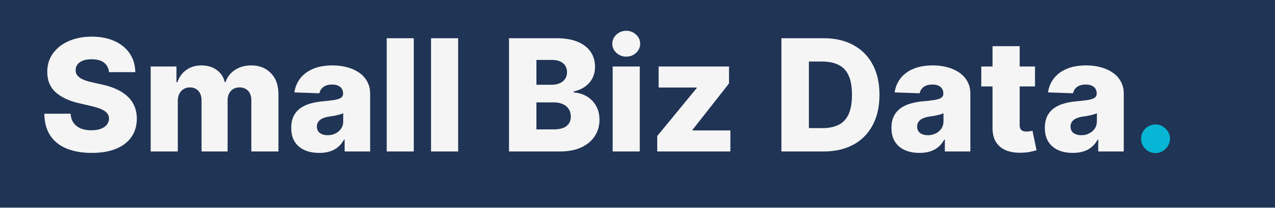 Horizantal Wordmark Logo (dark)